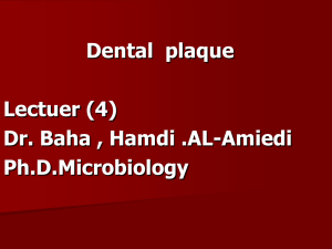 Dental  plaque Lectuer (4) Dr. Baha , Hamdi .AL-Amiedi