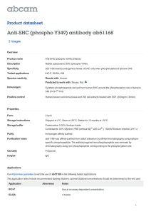 Anti-SHC (phospho Y349) antibody ab51168 Product datasheet 2 Images Overview