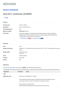 Anti-Zic1 antibody ab58080 Product datasheet 1 Image Overview