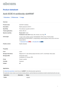 Anti-SOX14 antibody ab49047 Product datasheet 1 Abreviews 1 Image