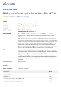 PPAR gamma Transcription Factor Assay Kit ab133101 Product datasheet 1 Abreviews 4 Images