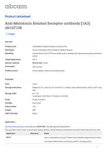 Anti-Melatonin Related Receptor antibody [1A3] ab167108