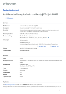 Anti-Insulin Receptor beta antibody [CT-1] ab80527 Product datasheet 2 References Overview