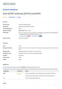 Anti-GCNF antibody [H7921] ab41894 Product datasheet 2 Abreviews 1 Image