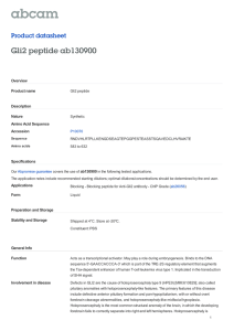 Gli2 peptide ab130900 Product datasheet Overview Product name