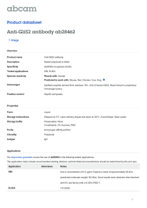 Anti-GliS2 antibody ab28462 Product datasheet 1 Image