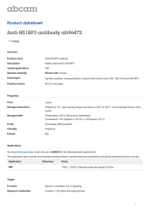 Anti-HS1BP3 antibody ab96472 Product datasheet 1 Image Overview