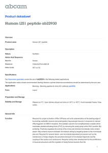 Human LIS1 peptide ab22930 Product datasheet Overview Product name