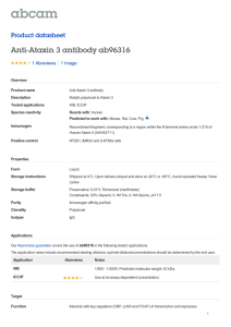 Anti-Ataxin 3 antibody ab96316 Product datasheet 1 Abreviews 1 Image