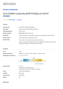 Anti-CRMP4 antibody [EPR7593(B)] ab126787 Product datasheet 2 Abreviews 3 Images
