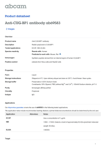Anti-CUG-BP1 antibody ab69583 Product datasheet 2 Images