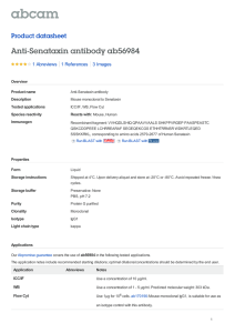 Anti-Senataxin antibody ab56984 Product datasheet 1 Abreviews 3 Images