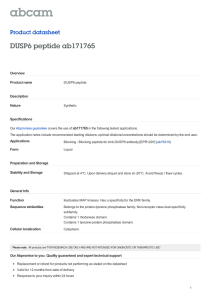 DUSP6 peptide ab171765 Product datasheet Overview Product name