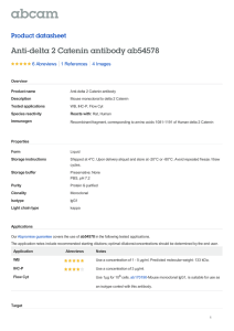 Anti-delta 2 Catenin antibody ab54578 Product datasheet 6 Abreviews 4 Images