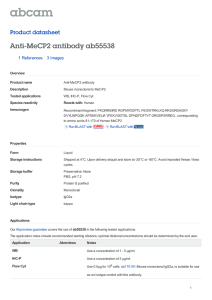 Anti-MeCP2 antibody ab55538 Product datasheet 1 References 3 Images