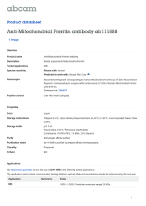 Anti-Mitochondrial Ferritin antibody ab111888 Product datasheet 1 Image