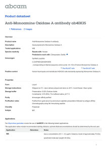 Anti-Monoamine Oxidase A antibody ab40835 Product datasheet 1 References 2 Images