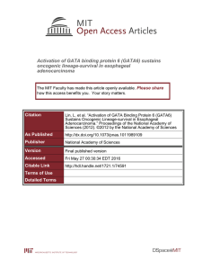 Activation of GATA binding protein 6 (GATA6) sustains adenocarcinoma