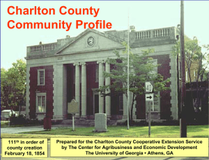 Charlton County Community Profile