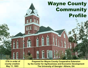 Wayne County Community Profile