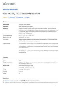 Anti-PADI2 / PAD2 antibody ab16478 Product datasheet 2 Abreviews 4 Images