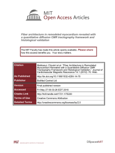 Fiber architecture in remodeled myocardium revealed with