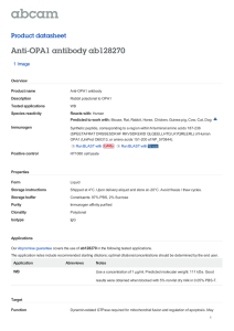 Anti-OPA1 antibody ab128270 Product datasheet 1 Image