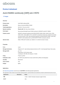 Anti-PANK2 antibody [3H9] ab119070 Product datasheet 8 Images Overview