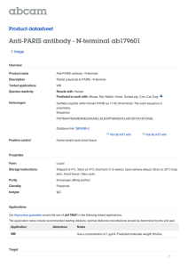 Anti-PARIS antibody - N-terminal ab179601 Product datasheet 1 Image