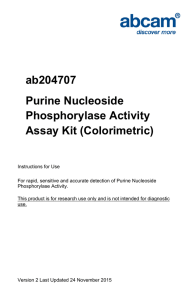ab204707 Purine Nucleoside Phosphorylase Activity Assay Kit (Colorimetric)