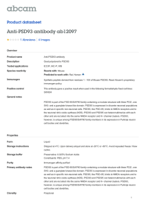 Anti-PSD93 antibody ab12097 Product datasheet 1 Abreviews 4 Images