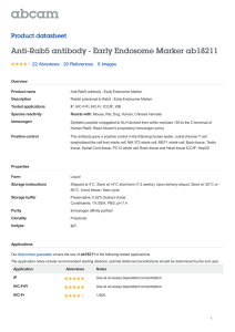 Anti-Rab5 antibody - Early Endosome Marker ab18211 Product datasheet 22 Abreviews 6 Images