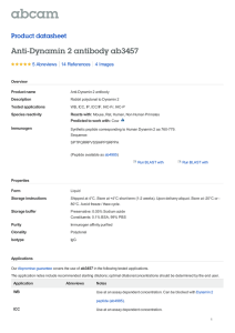 Anti-Dynamin 2 antibody ab3457 Product datasheet 5 Abreviews 4 Images