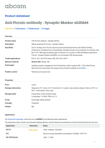 Anti-Piccolo antibody - Synaptic Marker ab20664 Product datasheet 3 Abreviews 5 Images
