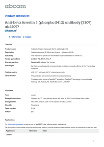 Anti-beta Arrestin 1 (phospho S412) antibody [E109]