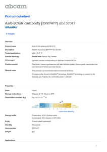 Anti-SCGN antibody [EPR7477] ab137017 Product datasheet 6 Images Overview