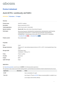 Anti-SCYL1 antibody ab76851 Product datasheet 1 Abreviews 4 Images