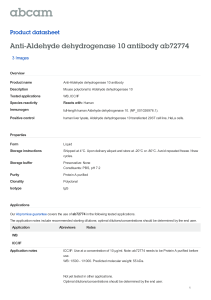 Anti-Aldehyde dehydrogenase 10 antibody ab72774 Product datasheet 3 Images Overview