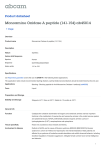 Monoamine Oxidase A peptide (141-154) ab45814 Product datasheet 1 Image Overview