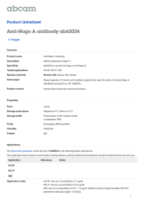 Anti-Nogo A antibody ab62024 Product datasheet 4 Images Overview