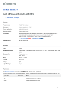Anti-SPG3A antibody ab58273 Product datasheet 1 References 3 Images
