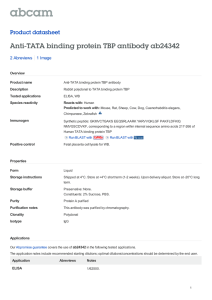 Anti-TATA binding protein TBP antibody ab24342 Product datasheet 2 Abreviews 1 Image