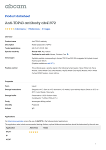 Anti-TDP43 antibody ab41972 Product datasheet 2 Abreviews 3 Images