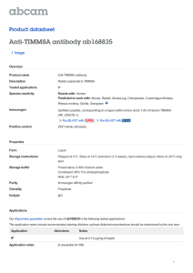 Anti-TIMM8A antibody ab168835 Product datasheet 1 Image