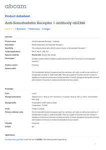Anti-Somatostatin Receptor 1 antibody ab2366 Product datasheet 1 Abreviews 3 Images