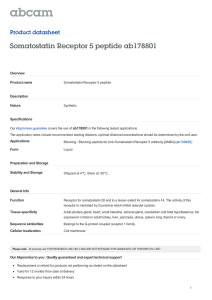 Somatostatin Receptor 5 peptide ab178801 Product datasheet Overview Product name