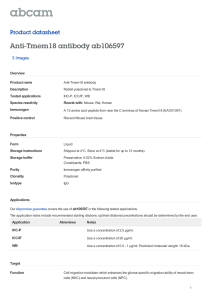 Anti-Tmem18 antibody ab106597 Product datasheet 3 Images Overview