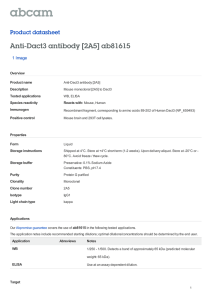 Anti-Dact3 antibody [2A5] ab81615 Product datasheet 1 Image Overview