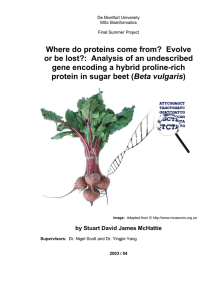 Where do proteins come from?  Evolve