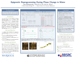 Epigenetic Reprogramming During Phase Change in Maize Chipo Mashayamombe , Sascha Ott